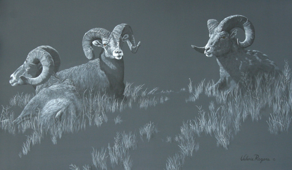 Valerie Rogers Painting of Big horned Sheep
