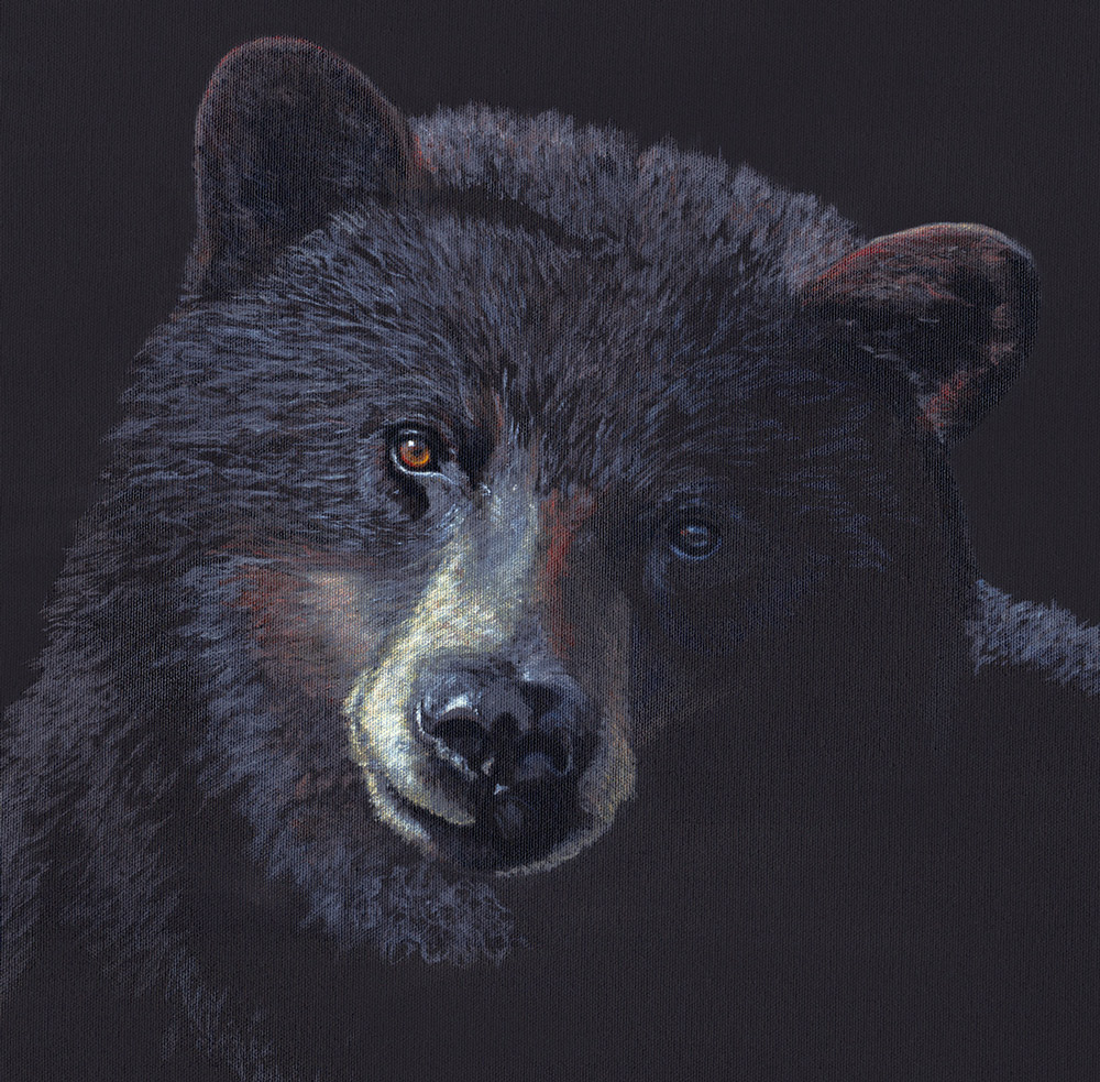 Acrylic painting Black bear Valerie Rogers