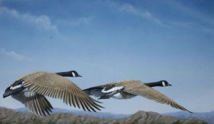 Valerie Rogers painting of Canadian geese Lift Off and Soar