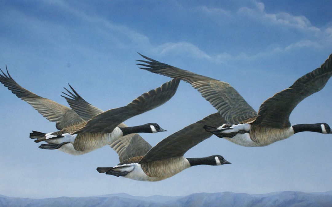 Huge 33 ft – 9 Geese Flock