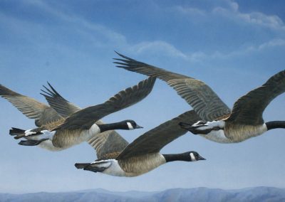 Huge 33 ft – 9 Geese Flock, Full $24,900 or $12,500 half