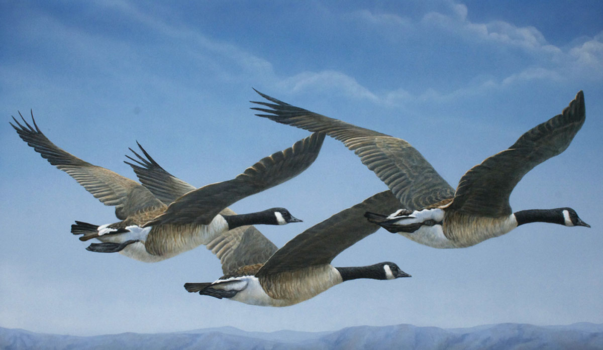 Valerie Rogers Painting of Canadian Geese