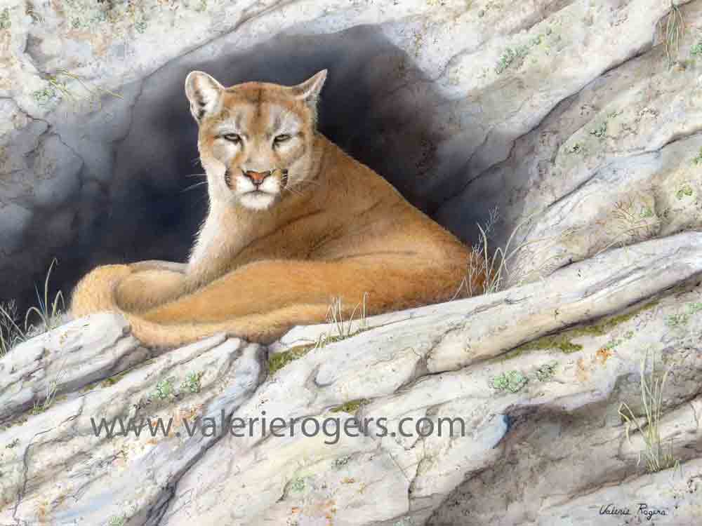 painting of cougar in mt den
