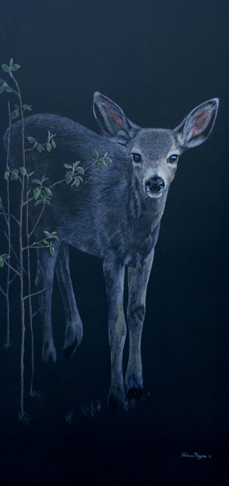 baby deer painting by Valerie Rogers