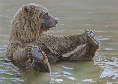 Bathing Bear
