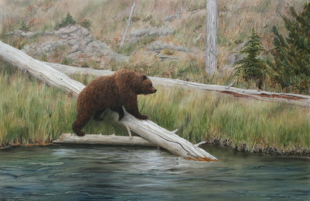 painting of bear by the river