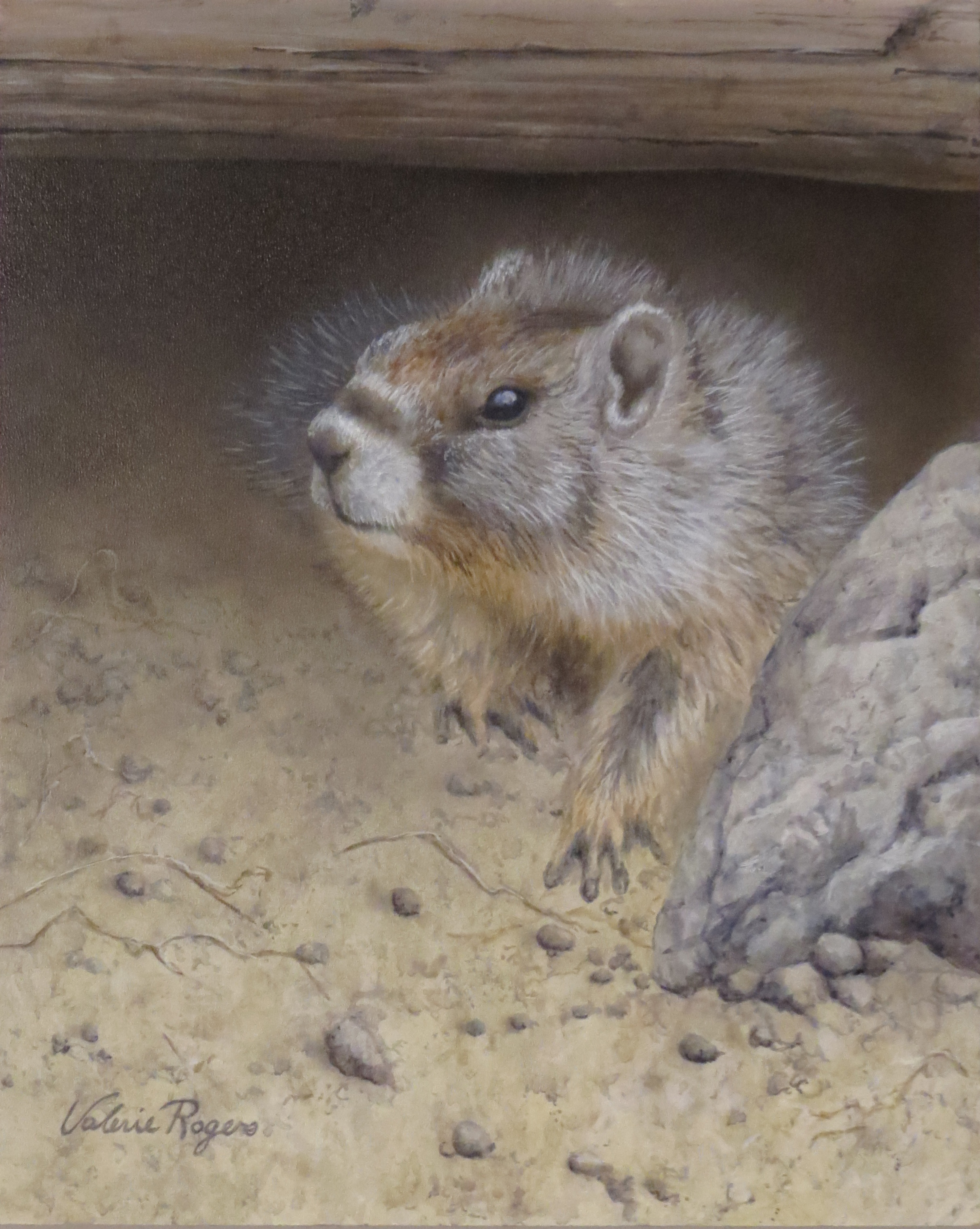 painting of marmot by Valerie Rogers