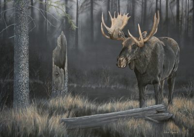 Out of the Dark – Moose 6ft