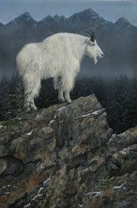 Valerie Rogers' painting of mt goat on rock