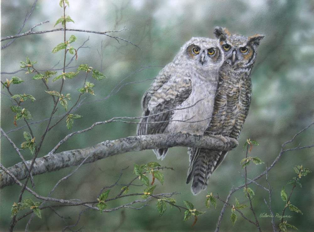 Valerie Rogers' painting of great horned owl