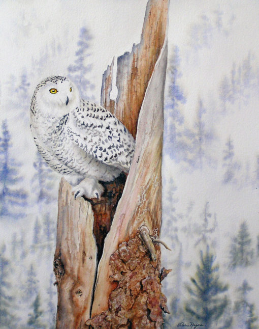 Award winning owl painting by Valerie Rogers
