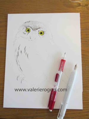 Step by Step Owl Painting