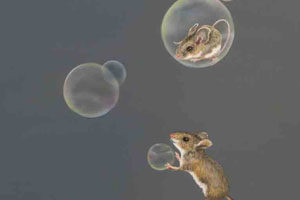 Valerie Rogers' acrylic painting of bubbles with mice
