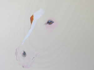 Valerie Rogers starting painting horses