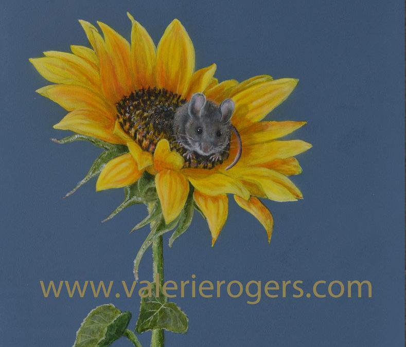 Sunflower Mouse