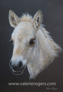 Valerie Rogers painting of foal