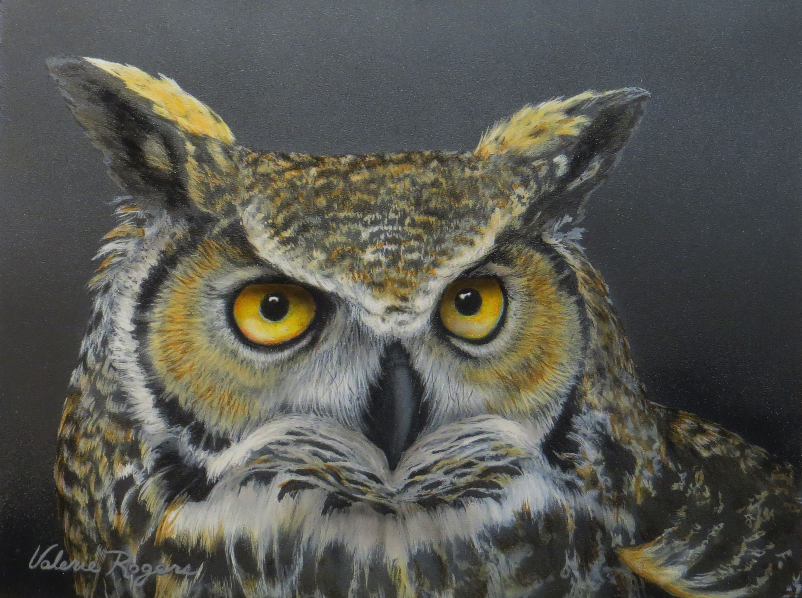 close up of great horned owl by Valerie Rogers