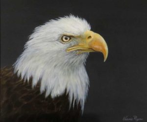 Bald Eagle painting by Valerie Rogers