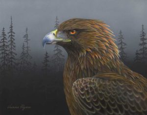 Golden eagle painting by Valerie Rogers