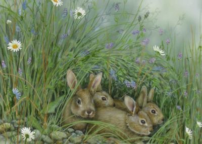 Together 16×20 $750 CAD Baby Rabbits