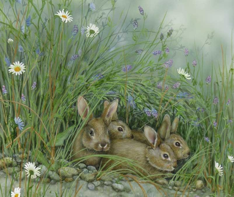 Together 16×20 $750 CAD Baby Rabbits