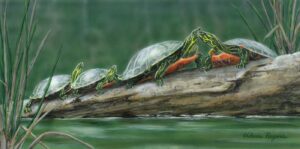 Turtles sunning on log painting