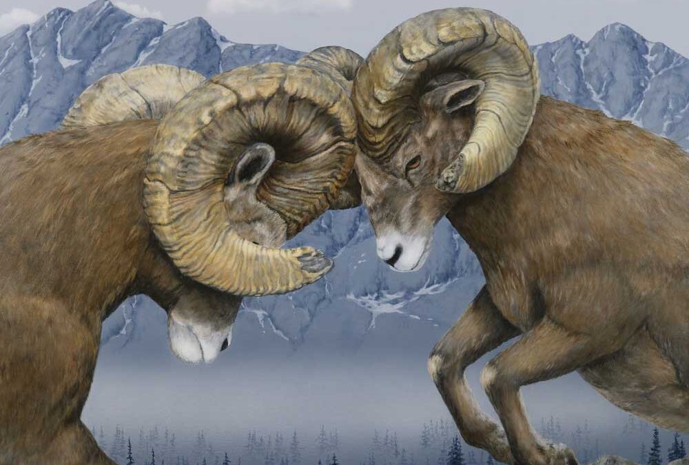 Big Horn Rams in art