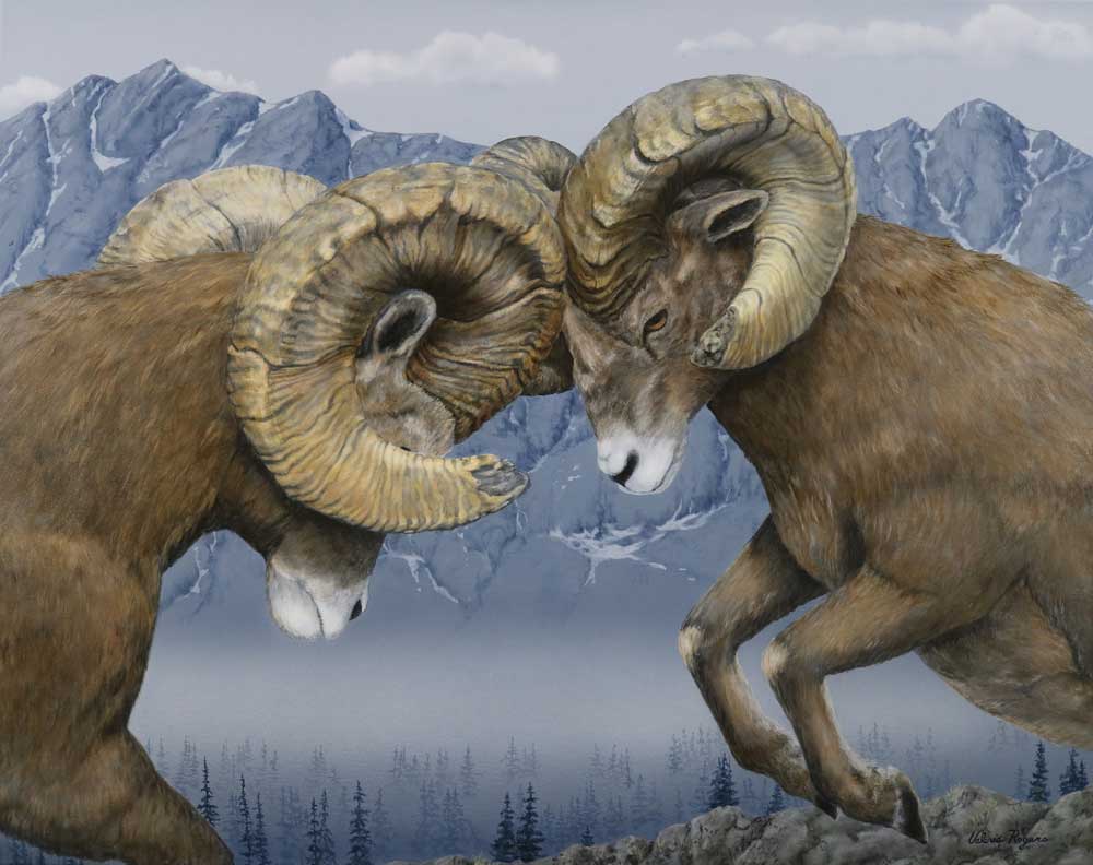 Big horn sheep painting by Valerie Rogers