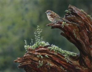 sparrow on stump by Valerie Rogers