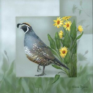 quail art by Valerie Rogers