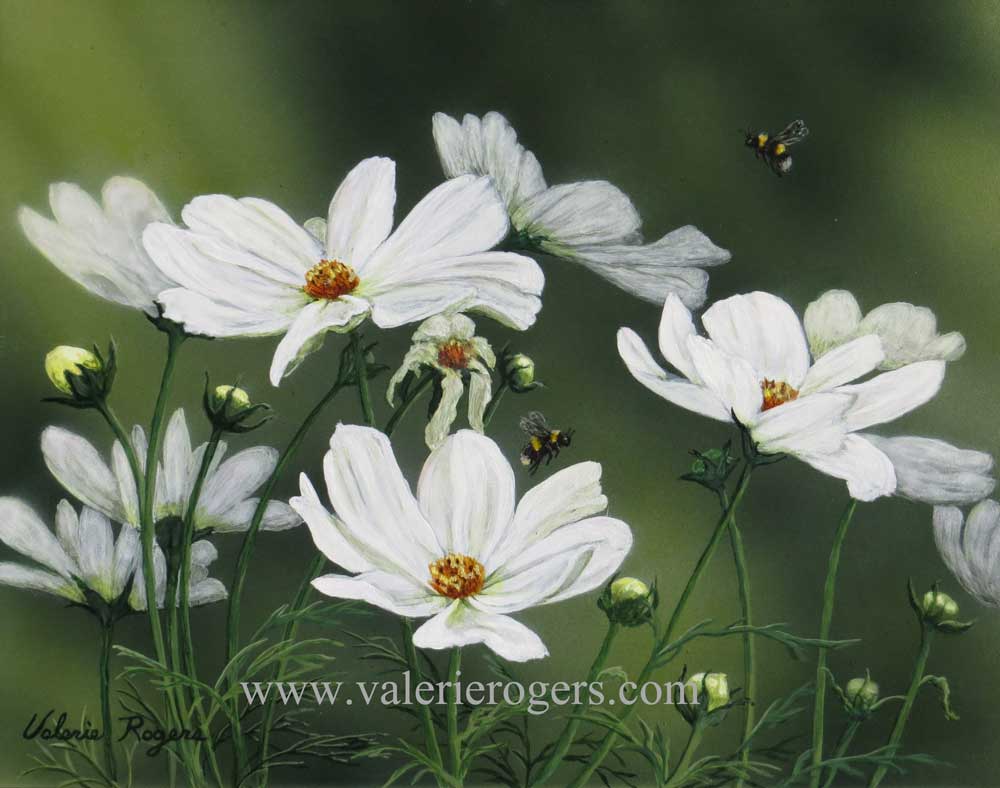 cosmos flowers and bumble bee painting
