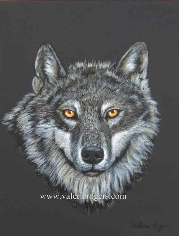 Out of the Dark -Golden Eyes Wolf by Valerie Rogers