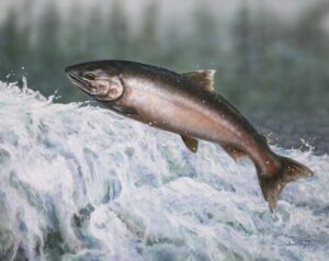 Rapid Ascent Salmon Painting by Valerie Rogers