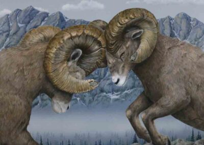 Impact 29×37 $2950 CAD (big horned rams)