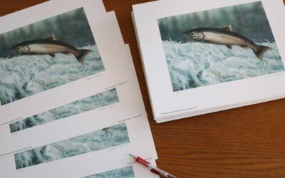 Salmon Prints all signed!