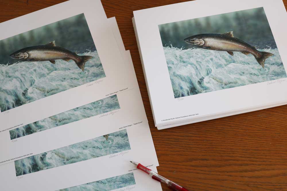 Salmon Prints all signed!