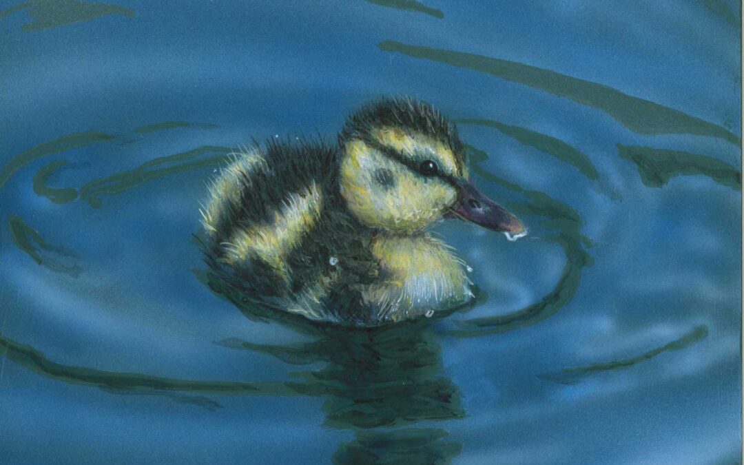 Cherish Mini Duckling 6×6 $95 CAD