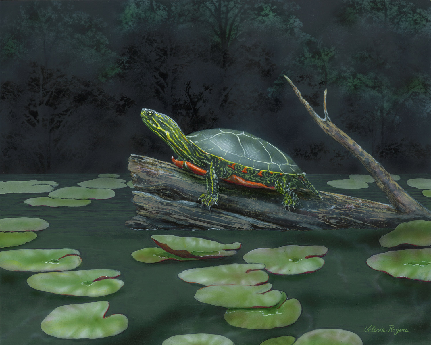 First Light is a turtle painting by Valerie Rogers