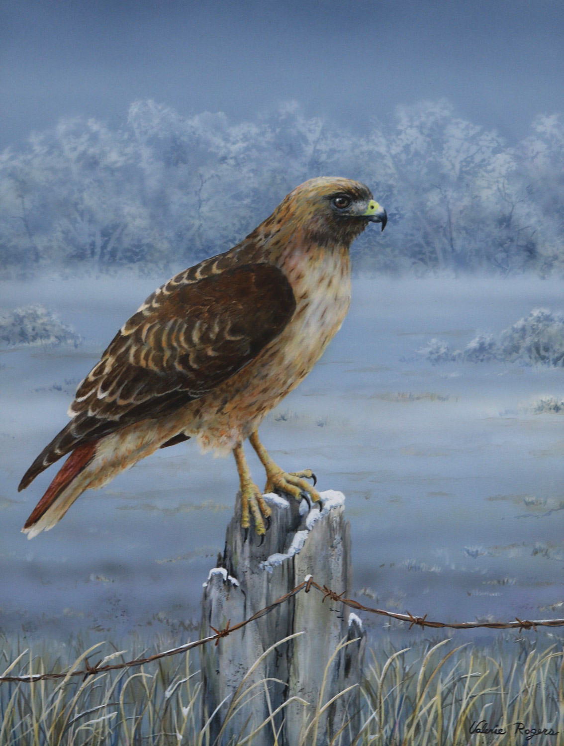 Painting of Red Tailed Hawk by Valerie Rogers