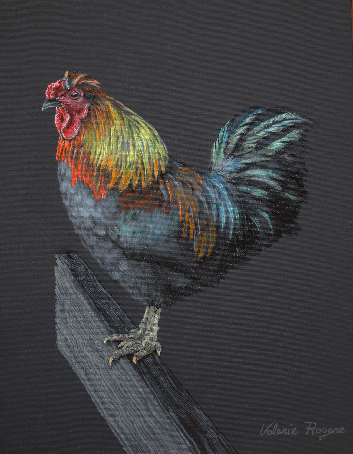 Out of the Dark Rooster by Valerie Rogers