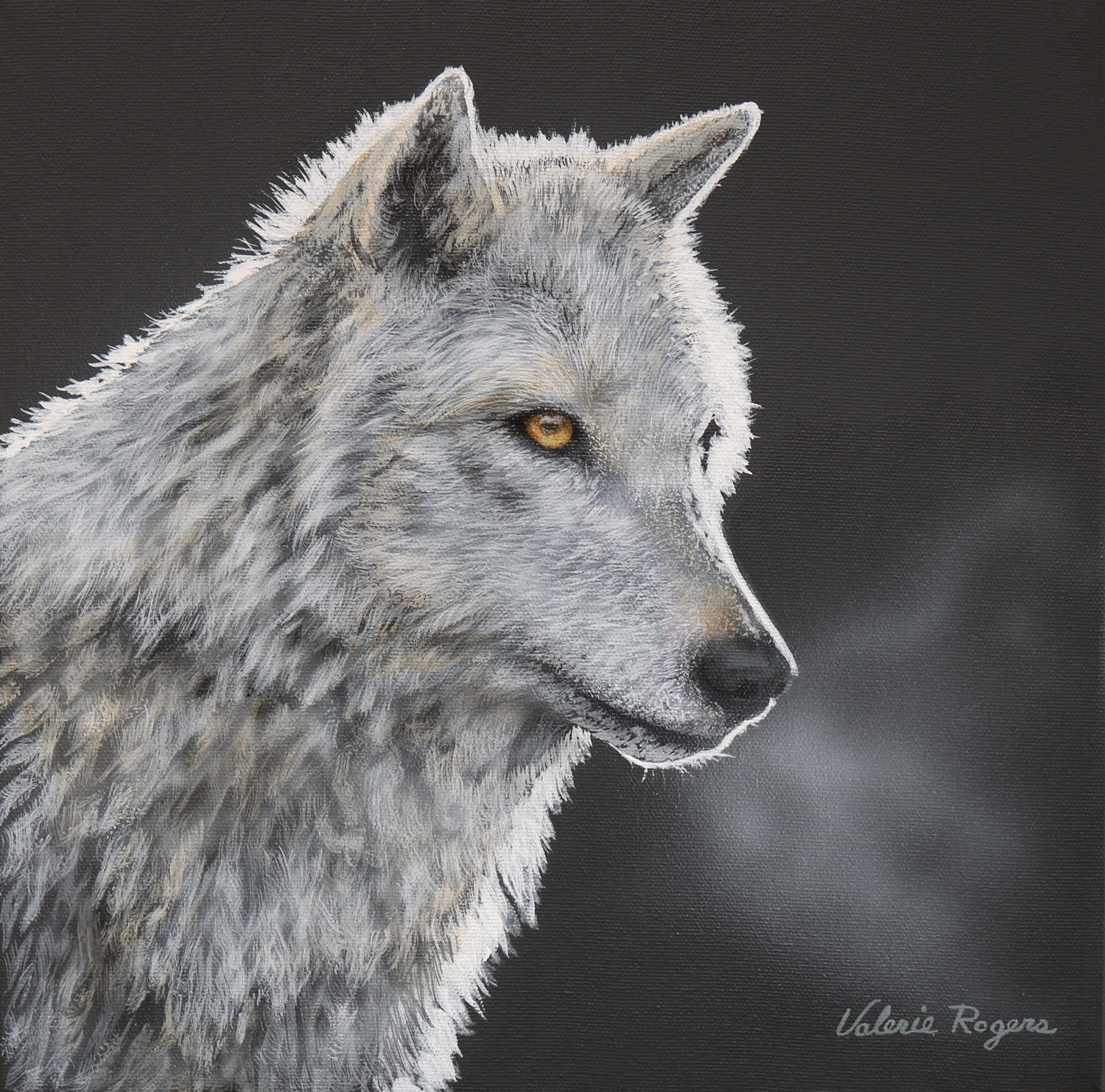 Out of the Dark White Wolf by Valerie Rogers