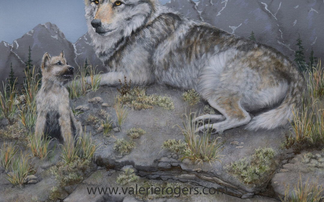 Wild Family Sold Timber wolfs in the wild